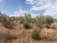 land for sale potami nicosia 1210758 image 3410886