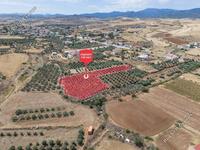 land for sale potami nicosia 1210758 image 3446234