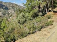 land for sale moutoullas nicosia 8106468 image 13239890