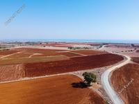 land for sale xylofagou larnaca 1077568 image 16512163