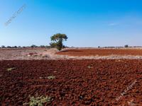 land for sale xylofagou larnaca 1077568 image 16512164