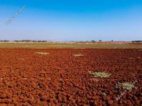 land for sale xylofagou larnaca 1077568 image 16512165