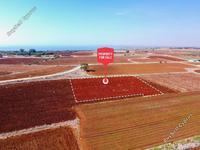 land for sale xylofagou larnaca 1077568 image 16512168
