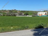 land for sale dali nicosia 1077578 image 3005169