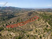 land for sale xyliatos nicosia 839588 image 3525094
