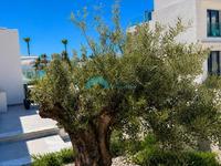 4 bedroom detached house for rent kissonerga paphos 8758398 image 16548068 4 bedroom detached house for rent kissonerga paphos 8758398 image 16548068