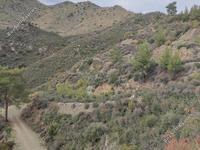 land for sale ora larnaca 1016698 image 18265746 land for sale ora larnaca 1016698 image 18265746