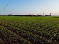 land for sale xylofagou larnaca 1657898 image 15864993
