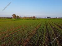 land for sale xylofagou larnaca 1657898 image 15864996