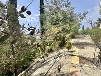 6 bedroom detached house for sale tala paphos 8509129 image 16996012