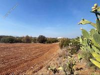 land for sale astromeritis nicosia 946329 image 3988714