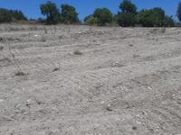 land for sale agios dimitrianos paphos 1836139 image 6518363 land for sale agios dimitrianos paphos 1836139 image 6518363
