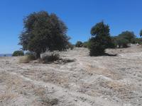 land for sale agios dimitrianos paphos 1836139 image 6518365 land for sale agios dimitrianos paphos 1836139 image 6518365