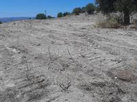 land for sale agios dimitrianos paphos 1836139 image 6518366 land for sale agios dimitrianos paphos 1836139 image 6518366