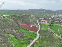 land for sale agios theodoros larnacas larnaca 8281569 image 14007540