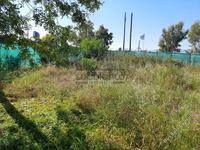 3 bedroom detached house for sale makedonitissa nicosia 8752489 image 16503134
