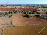 land for sale xylofagou larnaca 1614399 image 17187550