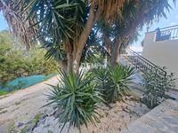 3 bedroom detached house for rent drousia paphos 8306899 image 17002571 3 bedroom detached house for rent drousia paphos 8306899 image 17002571