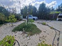 3 bedroom detached house for rent drousia paphos 8306899 image 17002573 3 bedroom detached house for rent drousia paphos 8306899 image 17002573