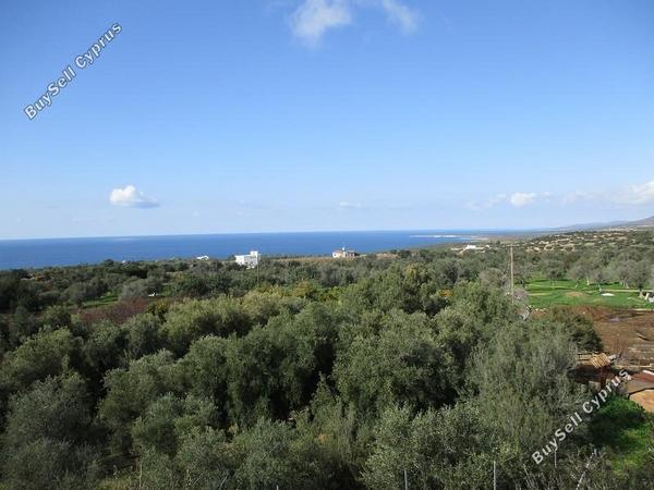 4 bedroom detached house for sale saint george peyia paphos 7738000 image 12558782