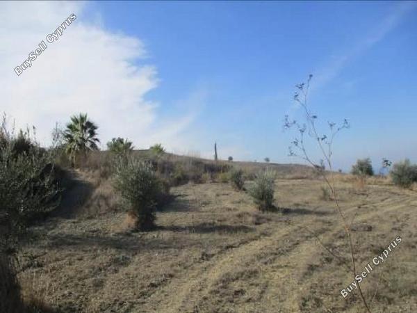 land for sale lasa paphos 8665000 image 17011233