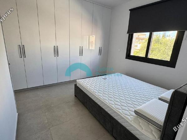 2 bedroom apartment for rent dasoupoli nicosia 8602100 image 15754281