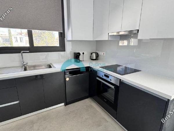 2 bedroom apartment for rent dasoupoli nicosia 8602100 image 15754287