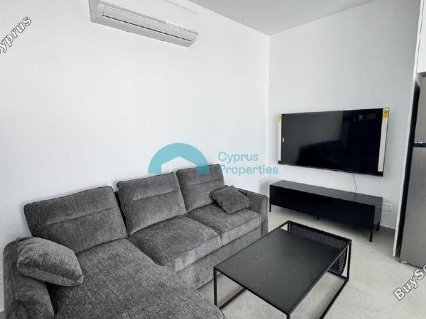 2 bedroom apartment for rent dasoupoli nicosia 8602100 image 15754291