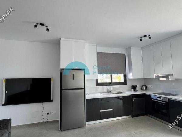 2 bedroom apartment for rent dasoupoli nicosia 8602100 image 15754301