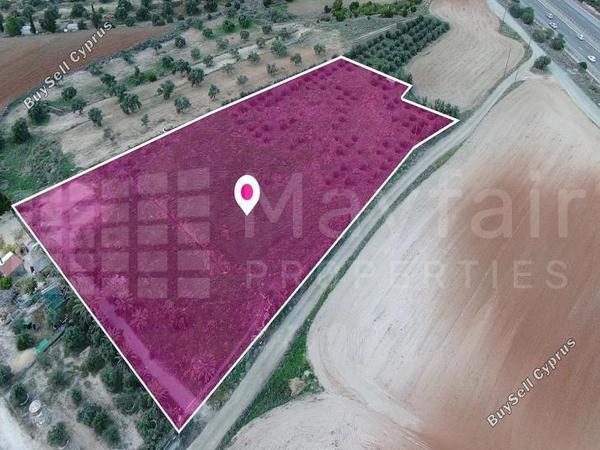 studio detached house for sale latsia nicosia 7872100 image 11384129
