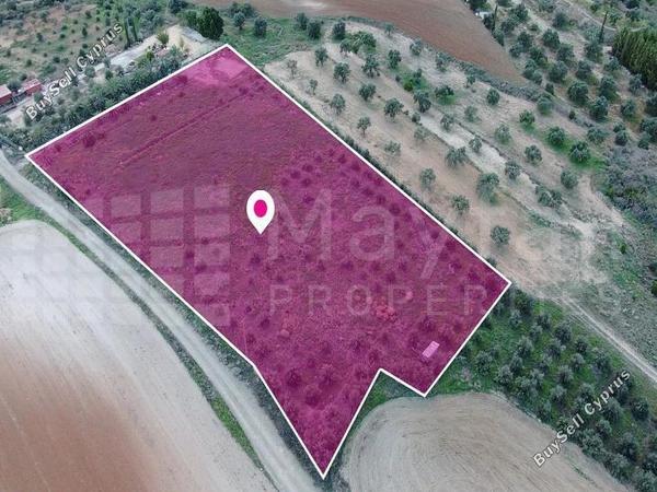 studio detached house for sale latsia nicosia 7872100 image 11384130