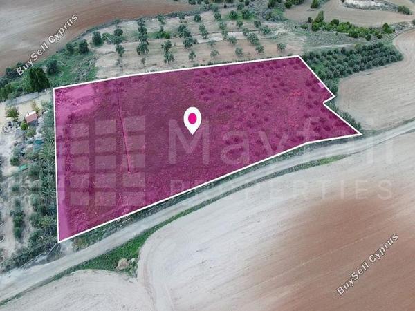 studio detached house for sale latsia nicosia 7872100 image 11384131