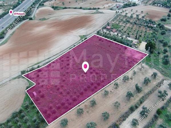 studio detached house for sale latsia nicosia 7872100 image 11384132
