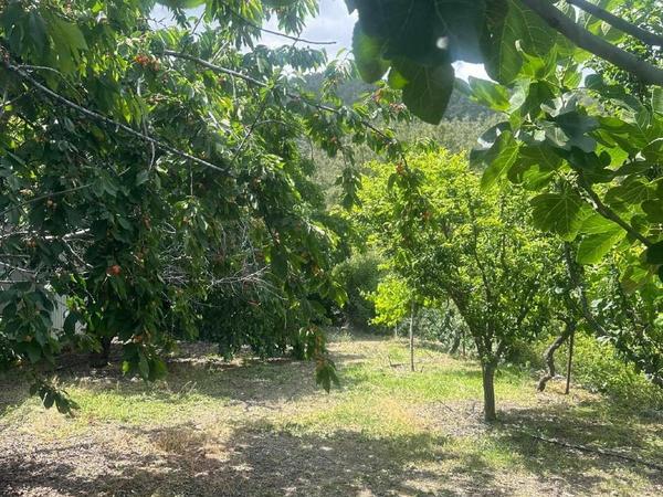 3 bedroom detached house for sale amiantos limassol 1294200 image 2715350