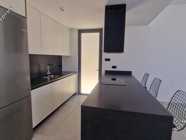 3 bedroom detached house for sale chlorakas paphos 8566200 image 15628411