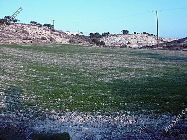 land for sale mazotos larnaca 831200 image 1332208