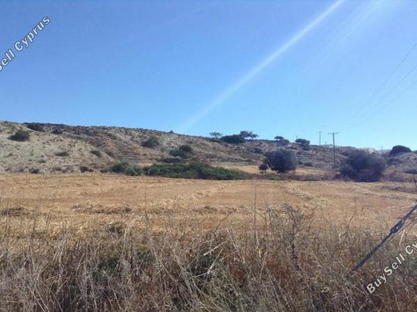 land for sale mazotos larnaca 831200 image 1332210
