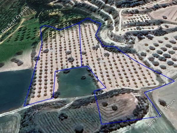 land for sale alaminos larnaca 7980300 image 11620297