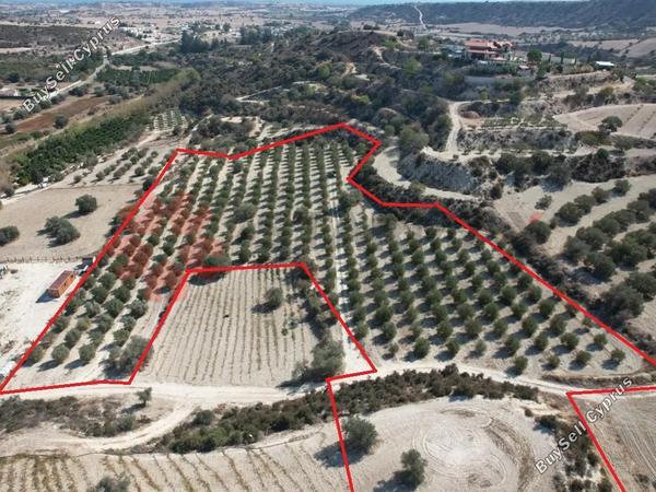 land for sale alaminos larnaca 7980300 image 11620302