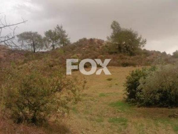 land for sale asgata limassol 1235300 image 5578406