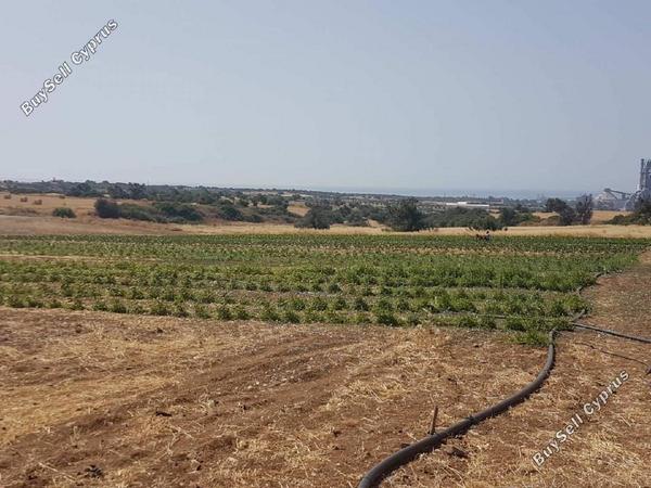 land for sale kalavasos larnaca 1448300 image 4698429