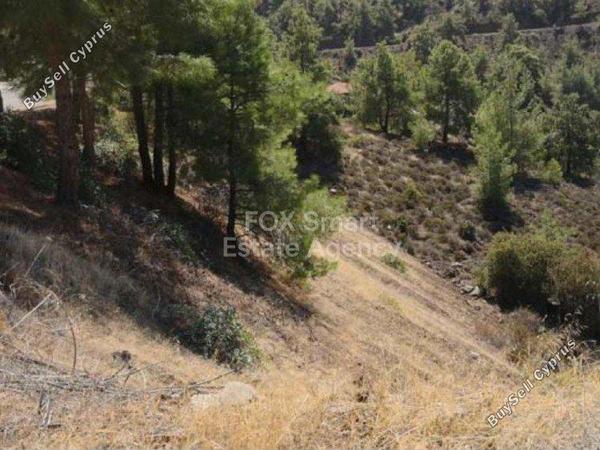 plot for sale evrychou nicosia 1151300 image 9951490