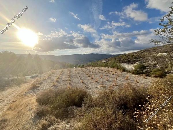land for sale laneia limassol 8180400 image 13577811
