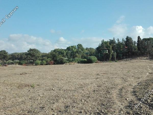 plot for sale poli chrysochous paphos 828400 image 15178318