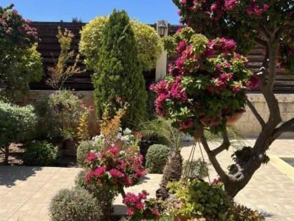 3 bedroom semi detached house for sale agios spyridonas limassol 1861500 image 6810097