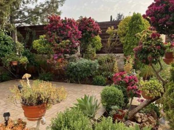 3 bedroom semi detached house for sale agios spyridonas limassol 1861500 image 6810098