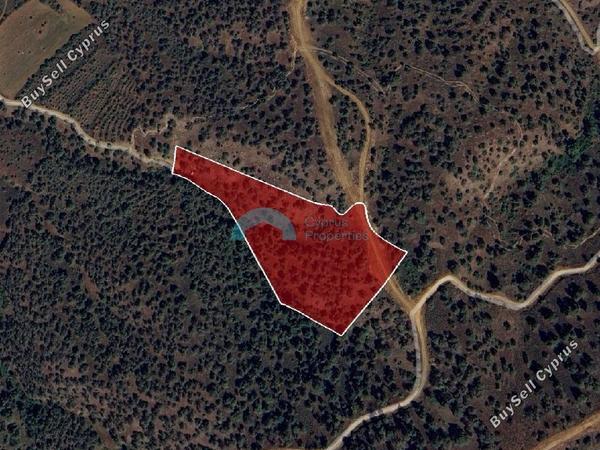 land for sale agios theodoros soleas nicosia 7874500 image 10941469