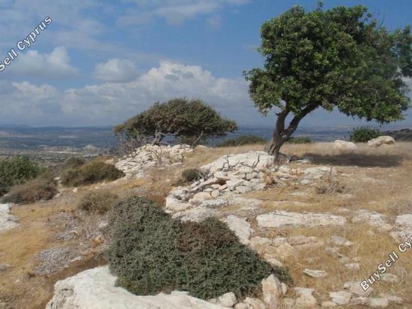 land for sale pissouri limassol 7739500 image 16242416