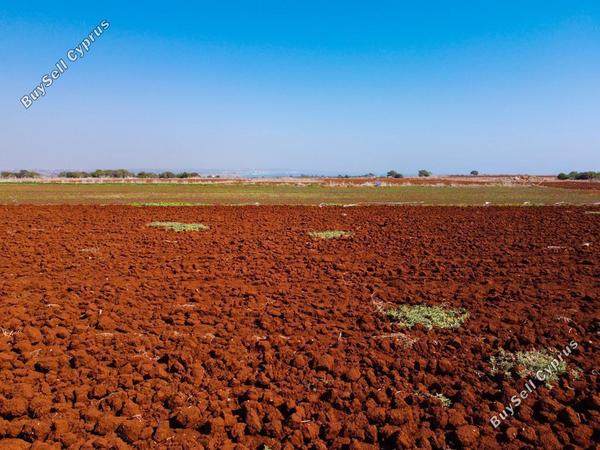 land for sale xylofagou larnaca 8743500 image 16413402