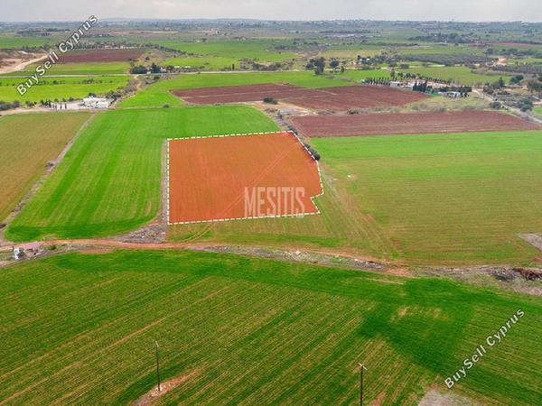 plot for sale frenaros famagusta 8711500 image 16288674